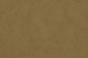 301 - Palomino (+$60.00)