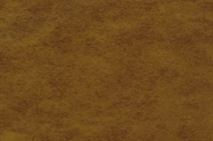 303 - Ginger (+$4.00)