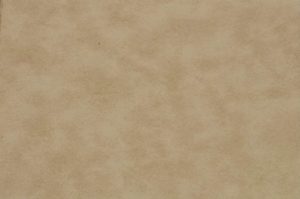 304 Light Parchment (+$4.00)
