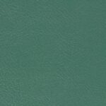 216_aqua