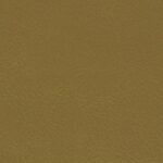 219_gold