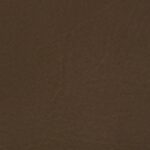 221_coconut_brown