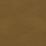227_buckskin