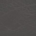 234_svo_gray