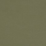 241_ivy_gold