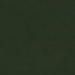 243_madrid_green