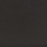 244_sierra_black