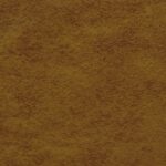 303_ginger
