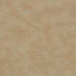304_light_parchment