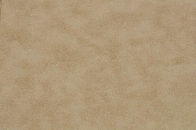 304 Light Parchment (+$40.00)